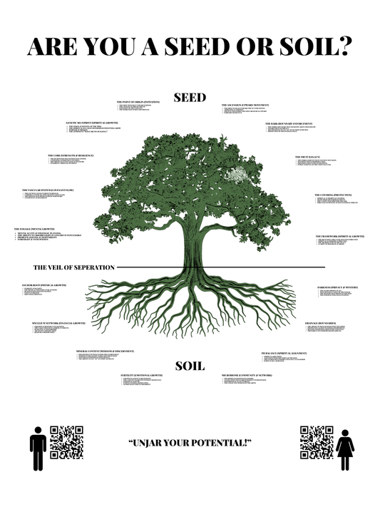 SEED & SOIL BLUEPRINT POSTER